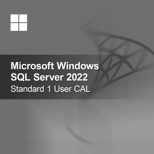 Microsoft SQL Server 2022 Standard 1 CAL utilisateur
