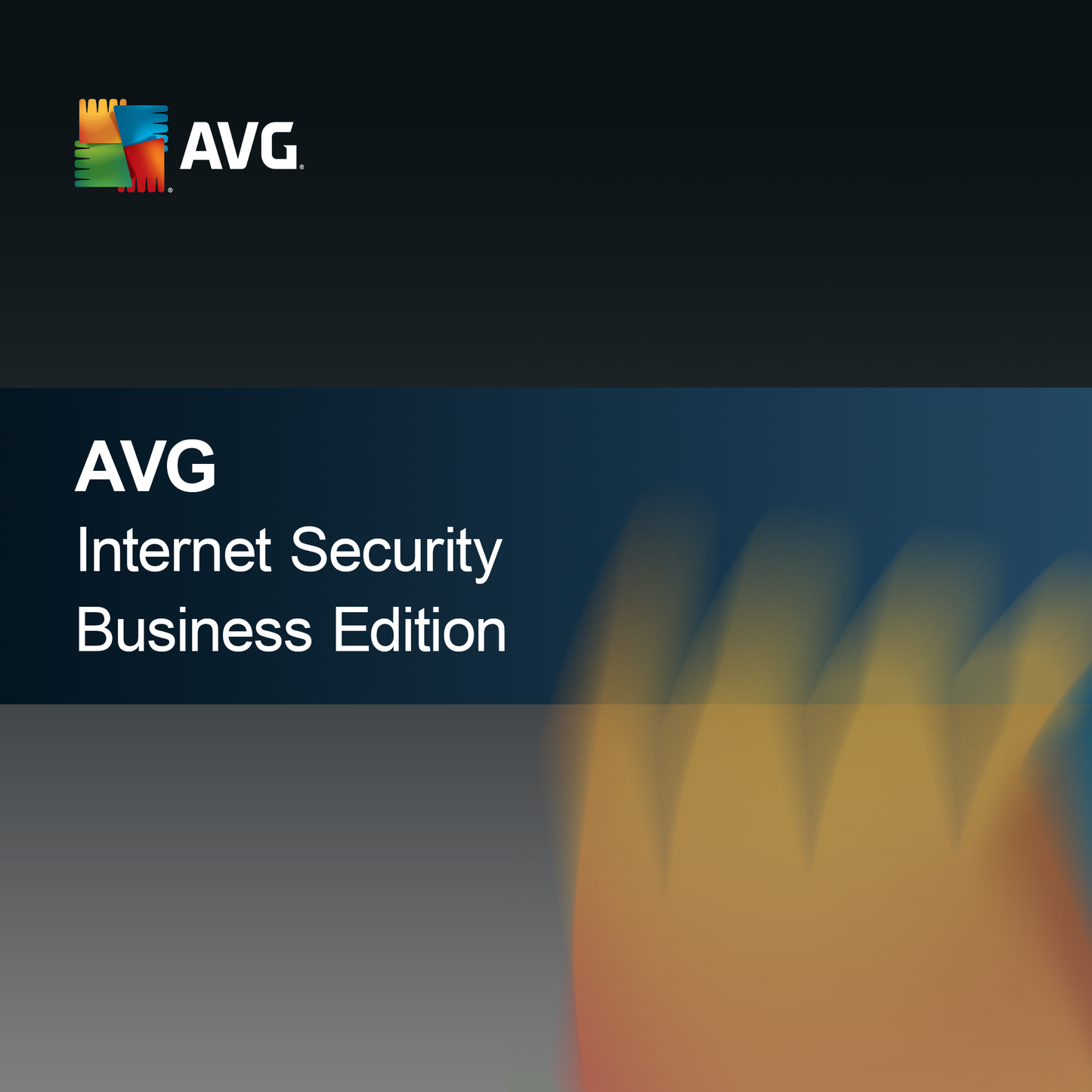 AVG Internet Security Édition Professionnelle